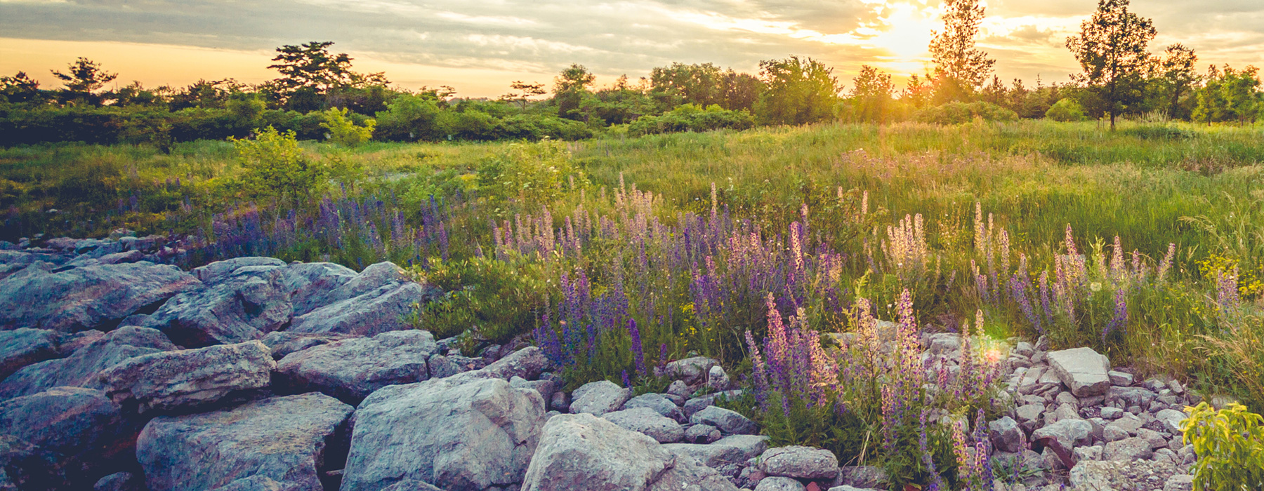 Move From Rocky to Serene